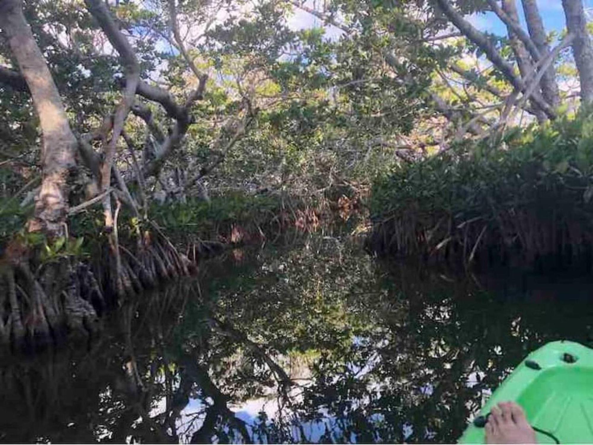 Jewfish Tiny Home On Waterfront, Bay Views, Deck, Pool חדר תמונה